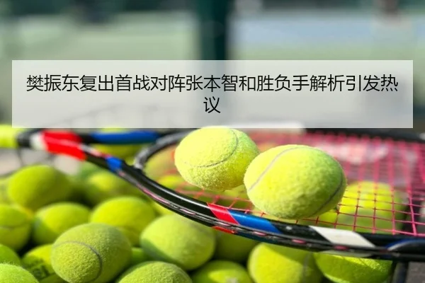 樊振东复出首战对阵张本智和胜负手解析引发热议